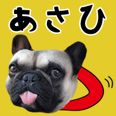 Asahi of a dog Name sticker