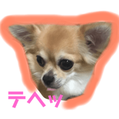 hayato_20181027002348