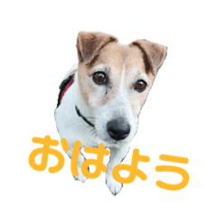 kyon_20181027024312