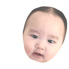 mamekomu2