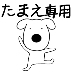 Dog dog Tamae