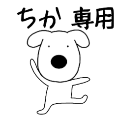 Dog dog Tika