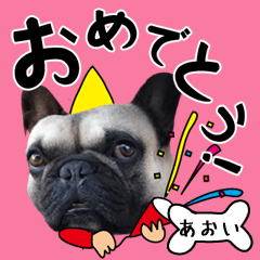 Aoi of a dog Name sticker