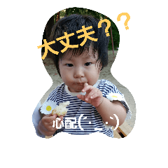 ann_20181026233522