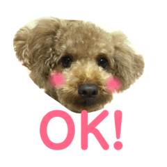 hikari_20181026202812