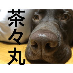 yamada_20181026140425