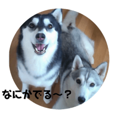 miko_20181026173820