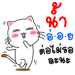 Name Nam V.Cat Cute