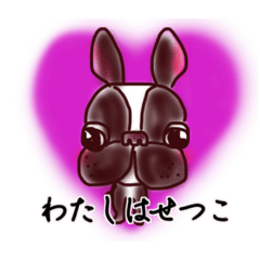 フレブルせつこ