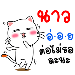 Name Now V.Cat Cute