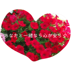 Language of flower stickers