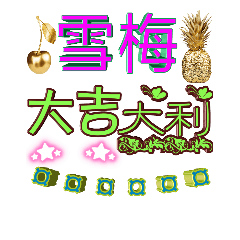 雪梅日常專用語