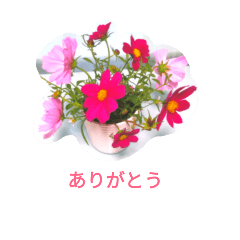 cute flower arrangement 2