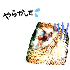 tm_20181027150109