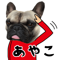 Ayako of a dog Name sticker