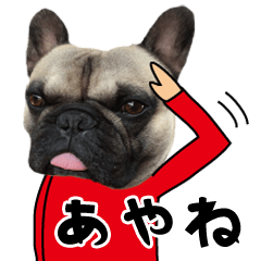 Ayane of a dog Name sticker