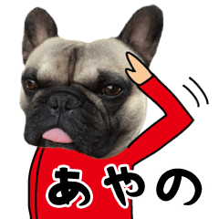 Ayano of a dog Name sticker