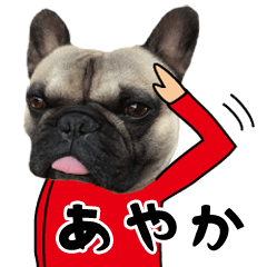 Ayaka of a dog Name sticker