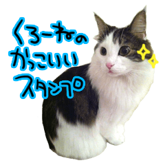 Krone Cat Sticker