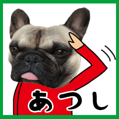 Atushi of a dog Name sticker