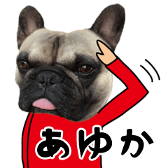 Ayuka of a dog Name sticker