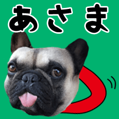 Asama of a dog Name sticker