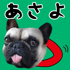 Asayo of a dog Name sticker