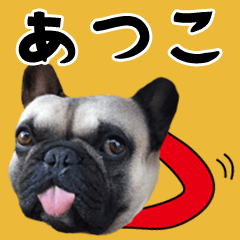 Atuko of a dog Name sticker