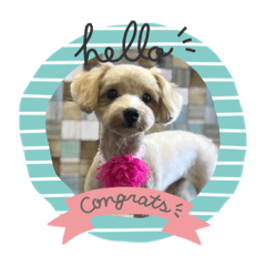 ARISA_20181028122254