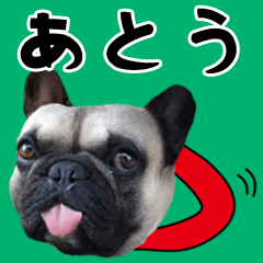 Atou of a dog Name sticker