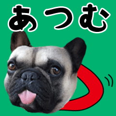 Atomu of a dog Name sticker