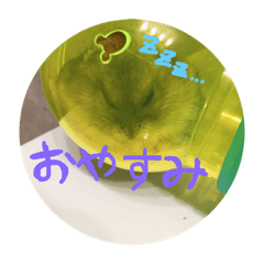 edamame_20181029001253