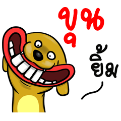 Name Khun (Smile Dog)