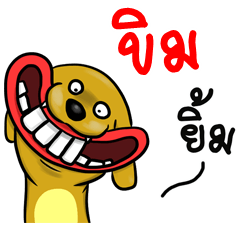 Name Khim (Smile Dog)