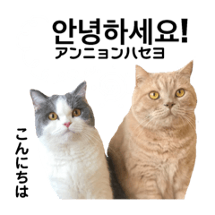 韓国語コタロー＆ハル