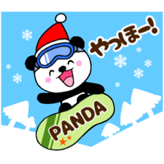 Baby panda / winter&Christmas