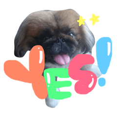 Akane_20181029101745