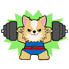 Work out pets(English)