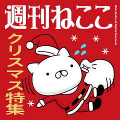 Weekly cat_Christmas feature 2