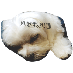 樂樂愛樂樂