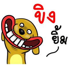 Name Khing (Smile Dog)