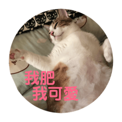 我有六隻貓