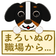 まろいぬ もじゃ犬のことわざ 慣用句 Line スタンプ Line Store まろいぬ もじゃ犬のことわざ 慣用句 Line スタンプ Line Store