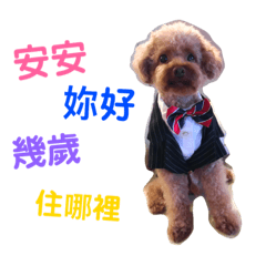 多多の日常