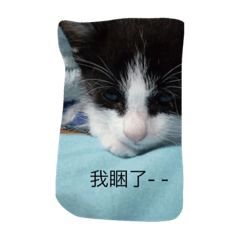 Wei的日常