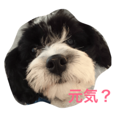 yama_20181025231919