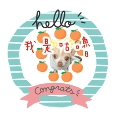 小霸王咕嚕趴兔