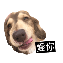 Eric 臘腸腸