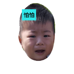 偽雙包