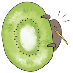 Kiwi fruit and kiwi bird